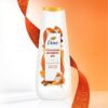 Dove - Fall Holiday Treat Body Wash - Cinnamon Pumpkin Pie - 591 ml